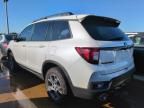 2024 Honda Passport Trail Sport