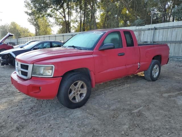 2010 Dodge Dakota SXT