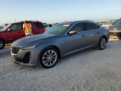 Salvage cars for sale at Arcadia, FL auction: 2020 Cadillac CT5 Premium Luxury