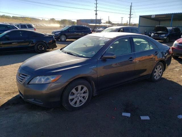 2008 Toyota Camry Hybrid