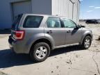 2009 Ford Escape XLS