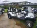 2020 Icon Golf Cart