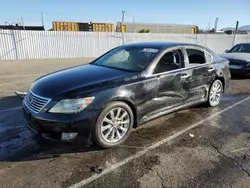 2011 Lexus LS 460 en venta en Van Nuys, CA