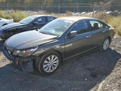 Honda Accord Vehiculos salvage en venta: 2014 Honda Accord EXL