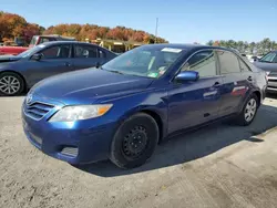 Toyota Camry Base salvage cars for sale: 2010 Toyota Camry Base