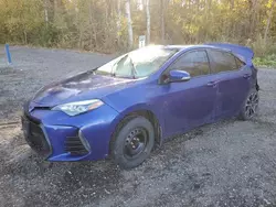 Salvage cars for sale at Cookstown, ON auction: 2018 Toyota Corolla L