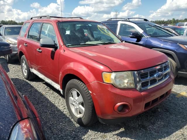 2010 Ford Escape XLS