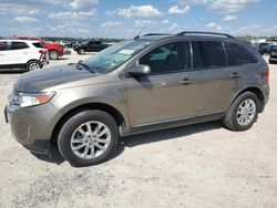 Salvage cars for sale at Houston, TX auction: 2013 Ford Edge SEL