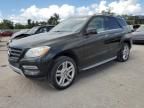 2014 Mercedes-Benz ML 350