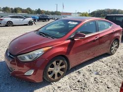 Hyundai Elantra gls Vehiculos salvage en venta: 2013 Hyundai Elantra GLS