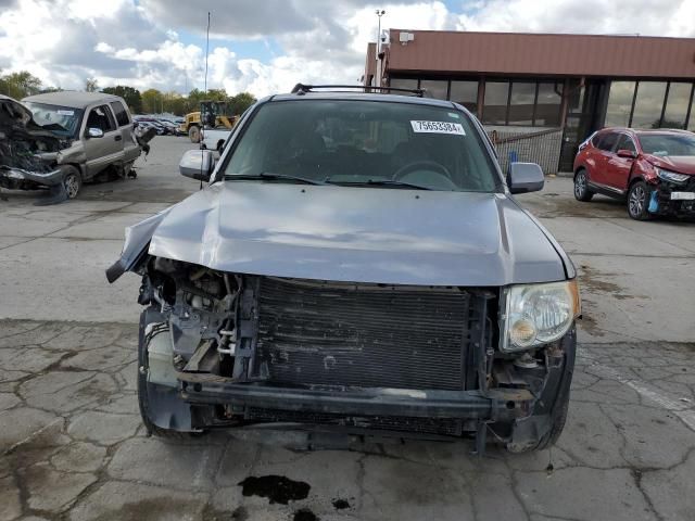 2008 Ford Escape Limited