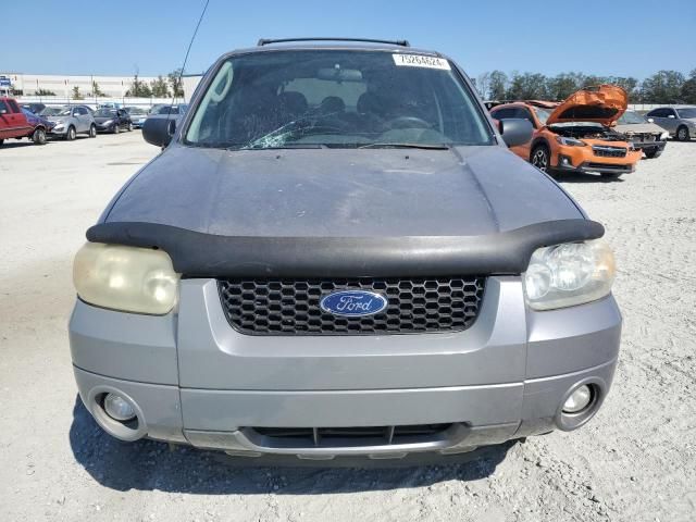 2007 Ford Escape XLT