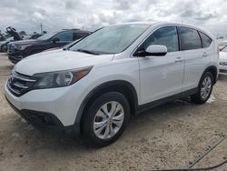 2013 Honda CR-V EX en venta en Riverview, FL