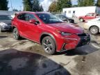 2019 Lexus NX 300H