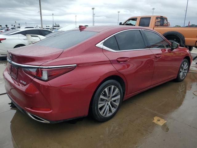 2020 Lexus ES 350