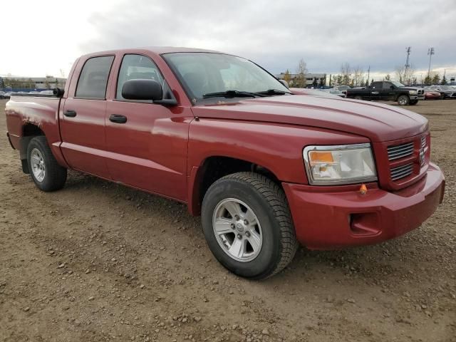 2008 Dodge Dakota SXT