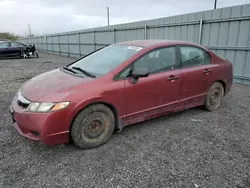 Salvage cars for sale at Ottawa, ON auction: 2009 Honda Civic DX-G