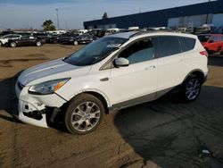 Salvage cars for sale at Woodhaven, MI auction: 2013 Ford Escape SE