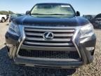 2019 Lexus GX 460