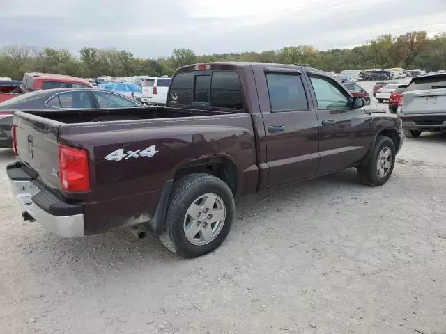 2005 Dodge Dakota Quad SLT