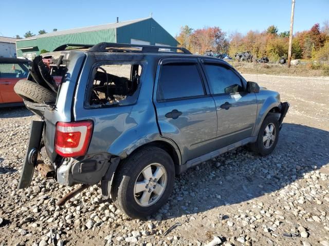 2011 Ford Escape XLT