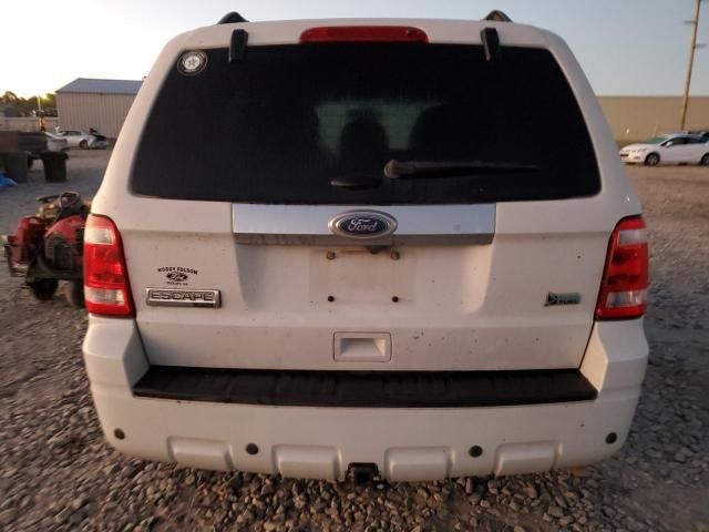 2012 Ford Escape Limited