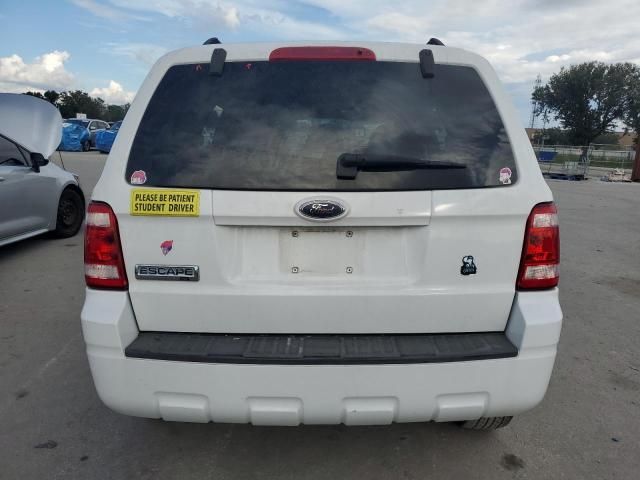 2008 Ford Escape XLT