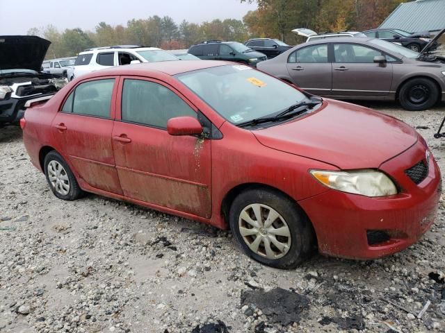 2009 Toyota Corolla Base