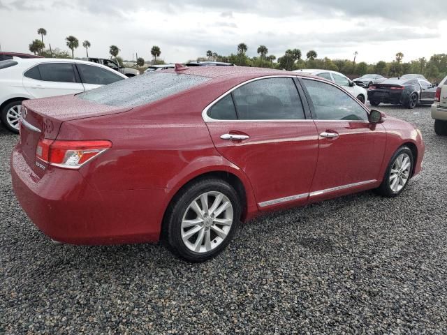 2010 Lexus ES 350