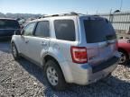 2010 Ford Escape Limited