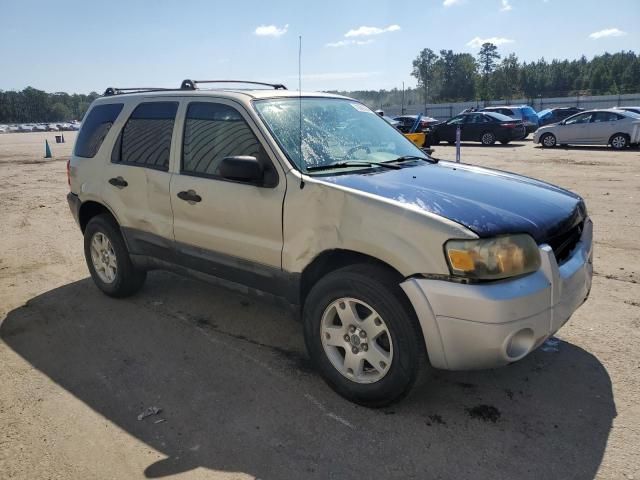 2005 Ford Escape XLT