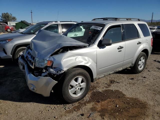 2009 Ford Escape XLT