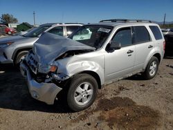 Salvage cars for sale at Tucson, AZ auction: 2009 Ford Escape XLT