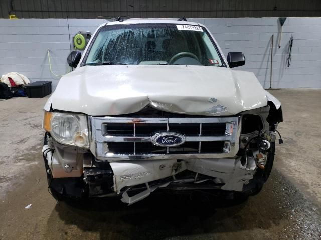 2008 Ford Escape XLT