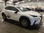 2020 Lexus NX 300 Base