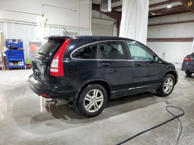 2010 Honda CR-V EXL