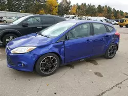 Ford Focus salvage cars for sale: 2013 Ford Focus SE