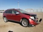 2009 Ford Edge SEL