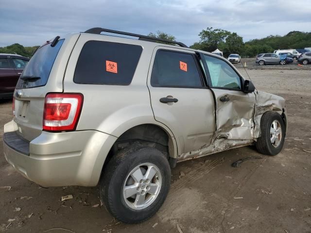 2010 Ford Escape XLT