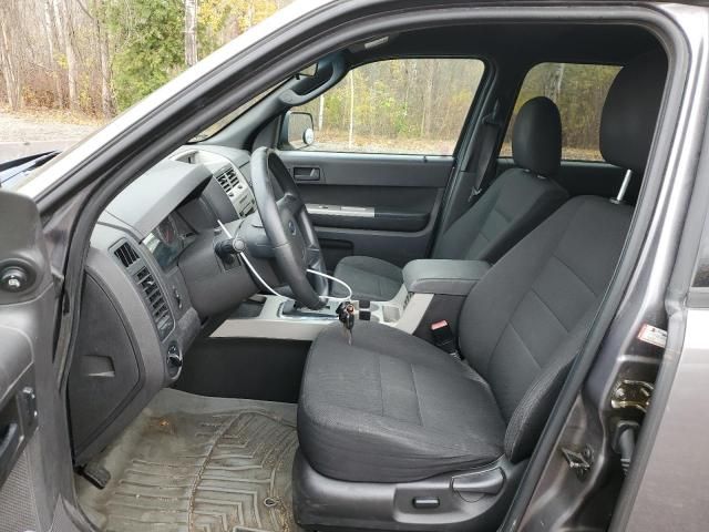 2009 Ford Escape XLT