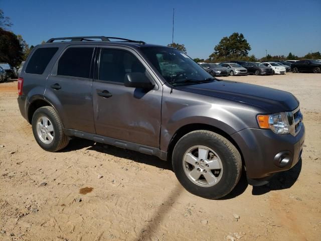 2009 Ford Escape XLT