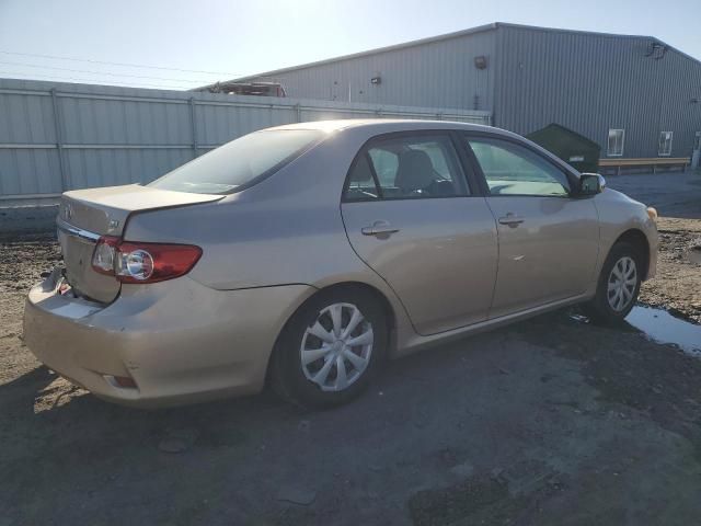 2011 Toyota Corolla Base