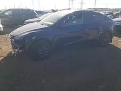 Salvage cars for sale at Elgin, IL auction: 2023 Tesla Model Y