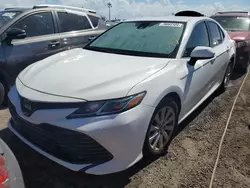 Toyota Vehiculos salvage en venta: 2019 Toyota Camry L