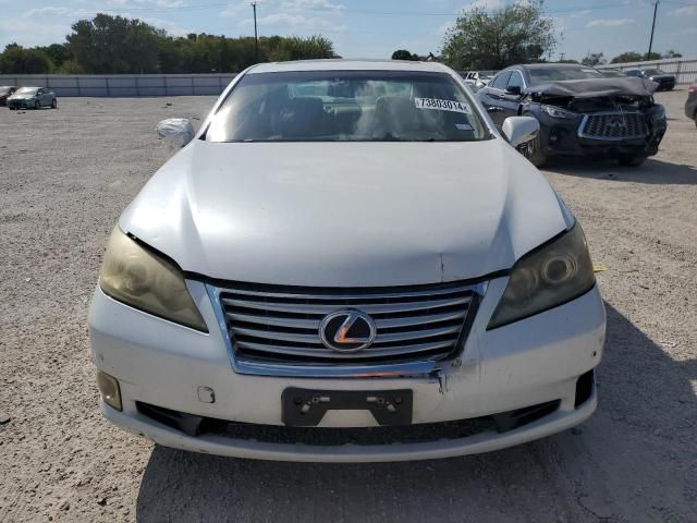 2010 Lexus ES 350