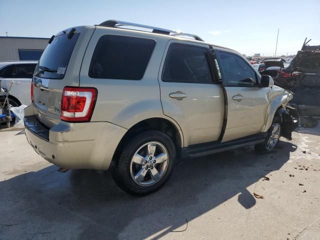 2011 Ford Escape Limited