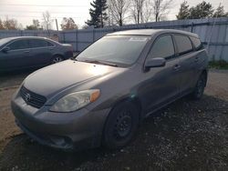 Toyota salvage cars for sale: 2005 Toyota Corolla Matrix XR