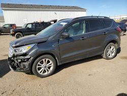 Salvage cars for sale at Portland, MI auction: 2019 Ford Escape SEL