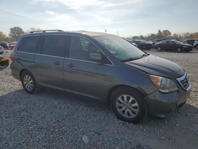 2010 Honda Odyssey EXL