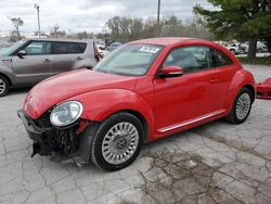 Salvage cars for sale at Lexington, KY auction: 2014 Volkswagen Beetle